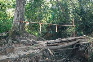 BIB: 
                            <button type="button" onclick="openModal(27743474)" class="btn btn-primary btn-sm float-right btn-popup" data-toggle="modal" data-target=".modal-high-quality">
                        <i class="fas fa-shopping-cart"></i> Add to Cart
                    </button>
                                            <button type="button" onclick="isThisMe(27743474, true)" class="btn btn-success btn-sm float-right btn-popup btn-isme hidden" data-toggle="tooltip" data-placement="bottom" title="นี่คือรูปของคุณใช่ไหม คลิกที่นี่เพื่อเอาเข้าอัลบั้ม">
                        <i class="fas fa-plus"></i> Add to album
                    </button>
                    <button type="button" onclick="isThisMe(27743474, false)" class="btn btn-warning btn-sm float-right btn-popup btn-isnotme hidden">
                        <i class="fas fa-ban"></i> Remove from album
                    </button>